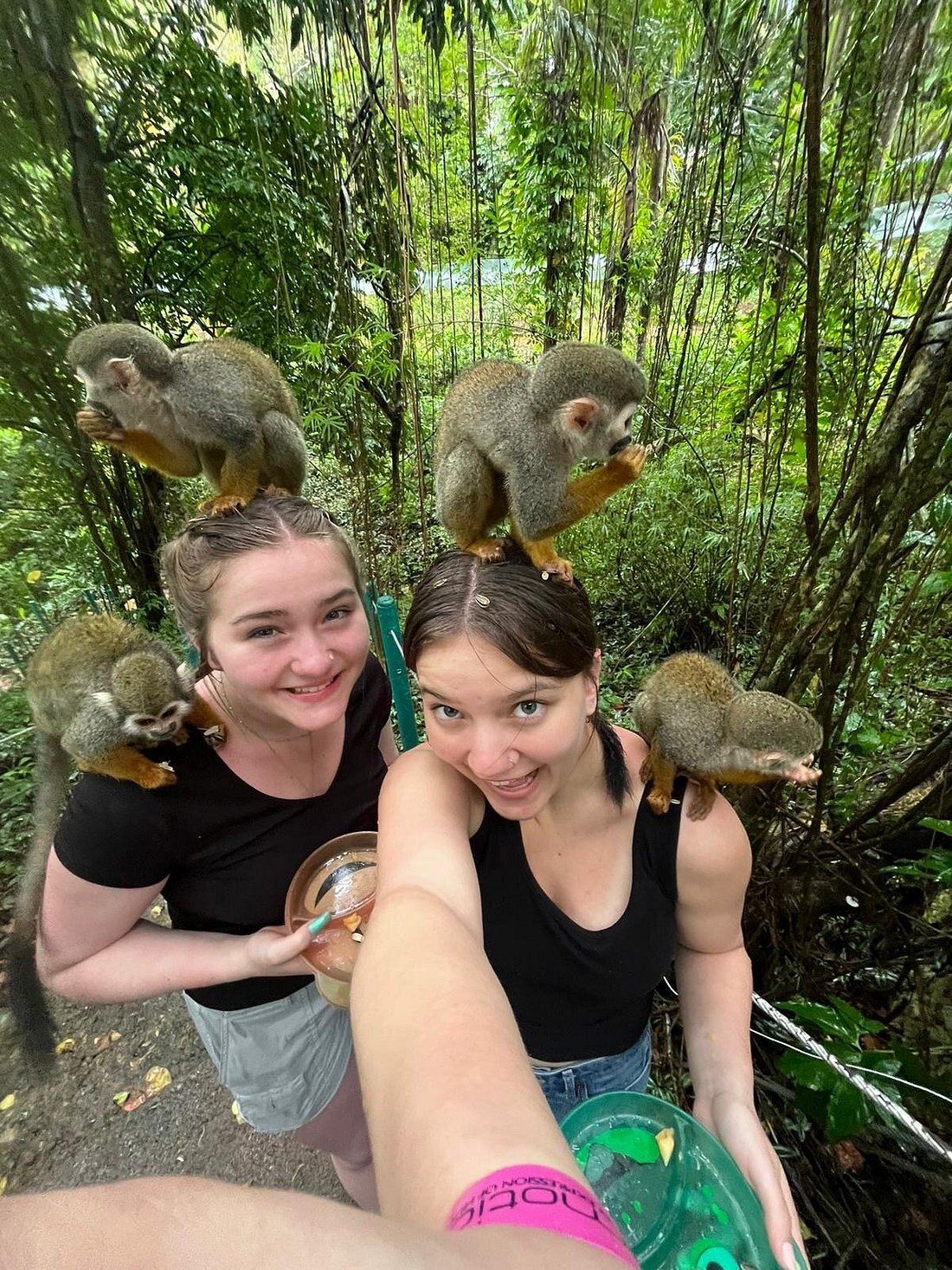Zip Line & Jungle Adventure - Top Punta Cana excursion